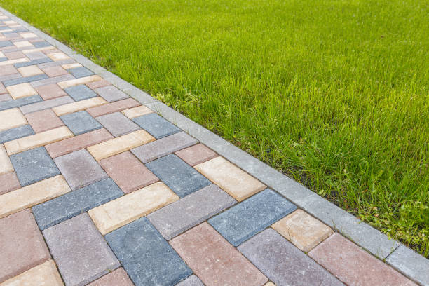 Best Driveway Paving Contractor  in New Lenox, IL